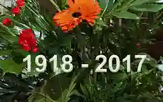 11-11-2017, Józefów nad Wisłą. 99. rocznica odzyskania niepodległości przez Polskę.